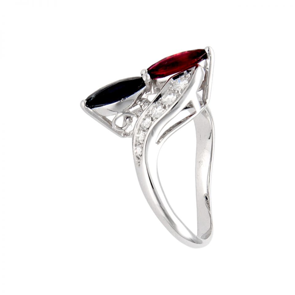 01B1AN0002859 - 2D image