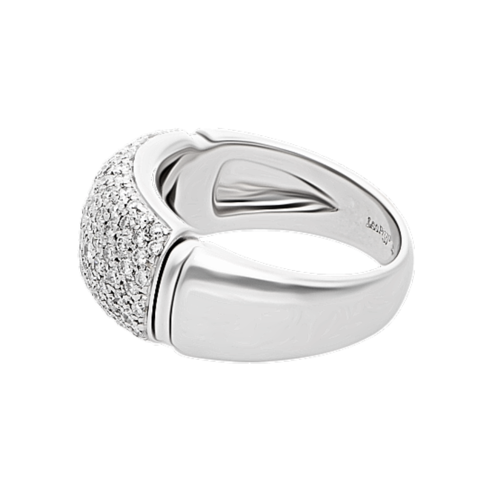 01B1AN0008991 - 2D image