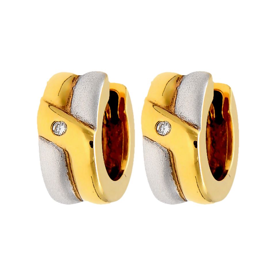 01B1COR000243 - 2D image