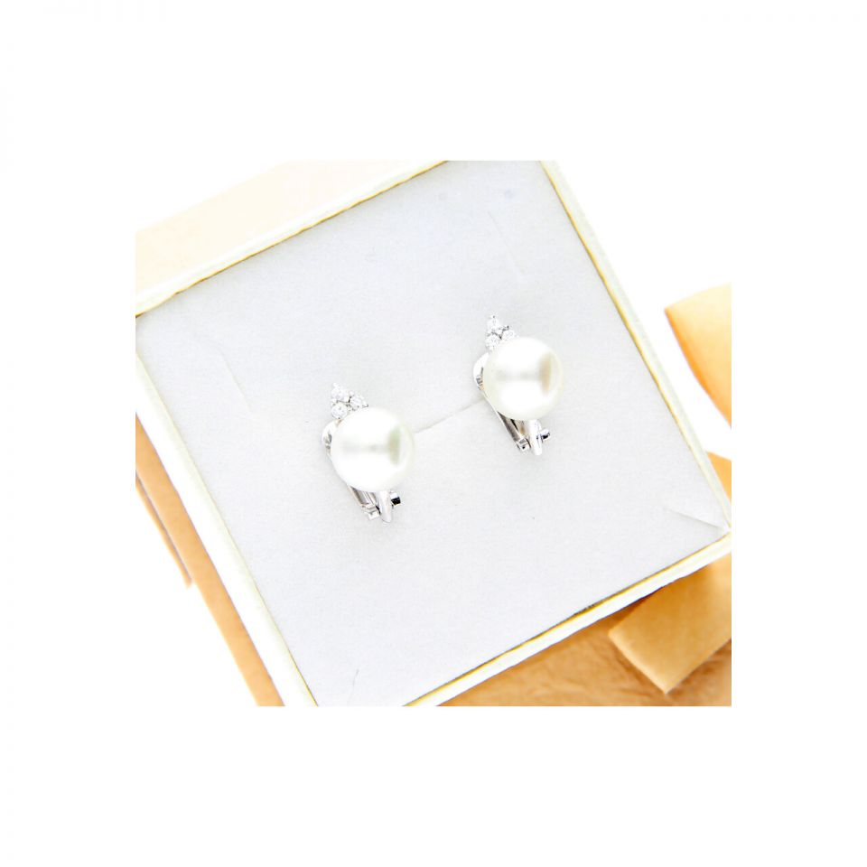 01B1COR005907 - 2D image