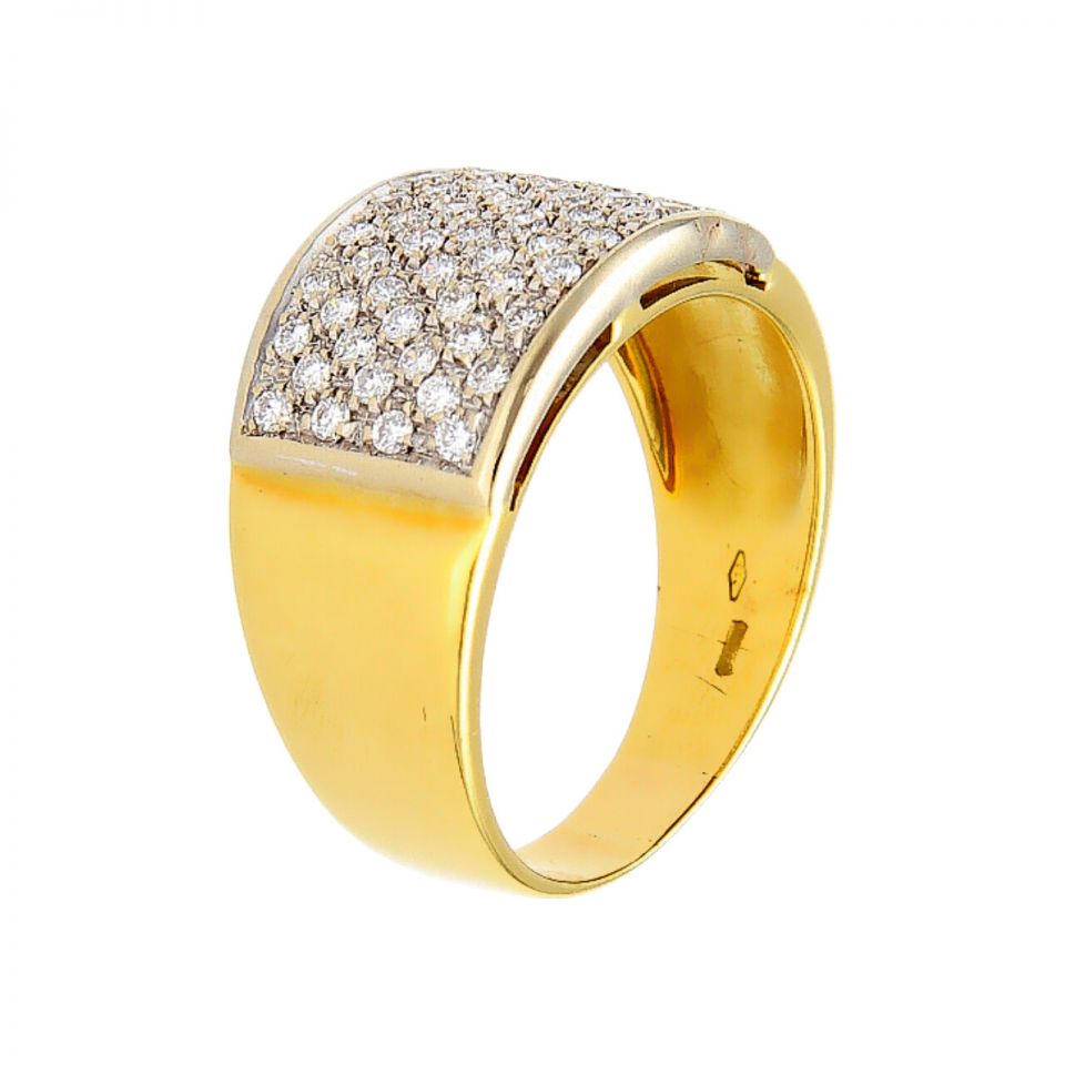 01B2AN0001519 - 2D image