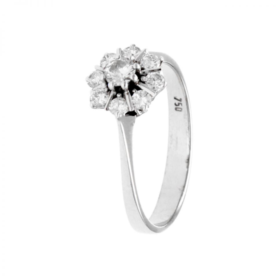 01B2AN0001853 - 2D image