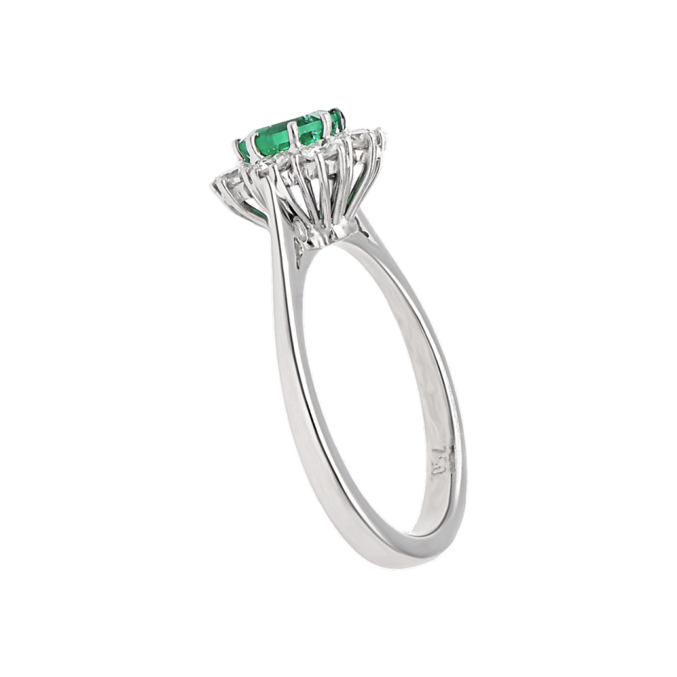 01B2AN0014483 - 2D image