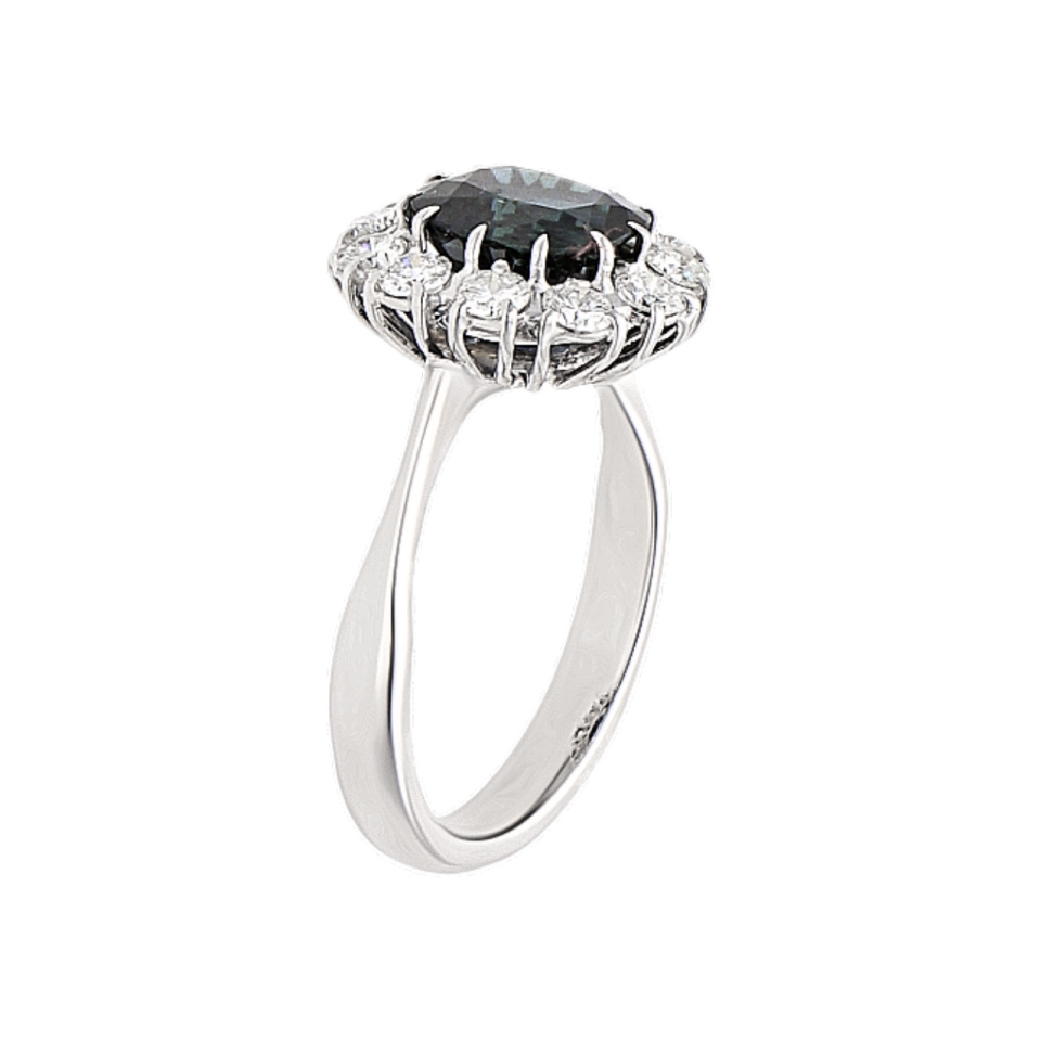 01B2AN0014485 - 2D image