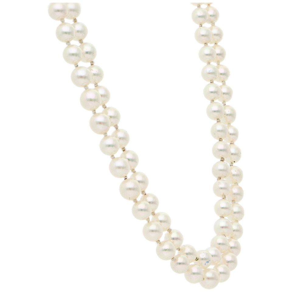 01B2COL014487 - 2D image