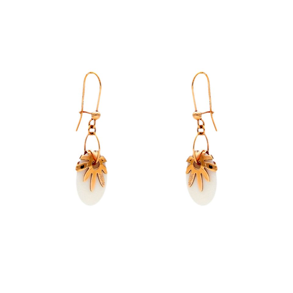 01B2COR000319 - 2D image