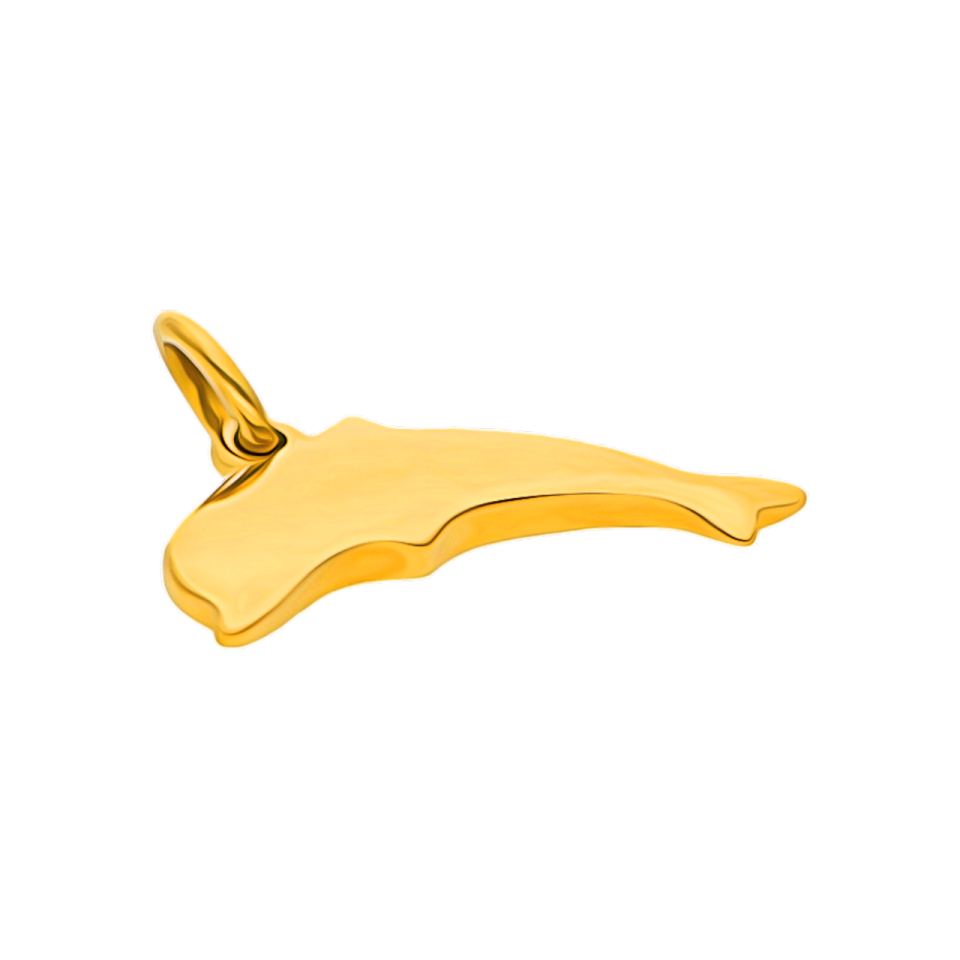 01BKCDL005192 - 2D image