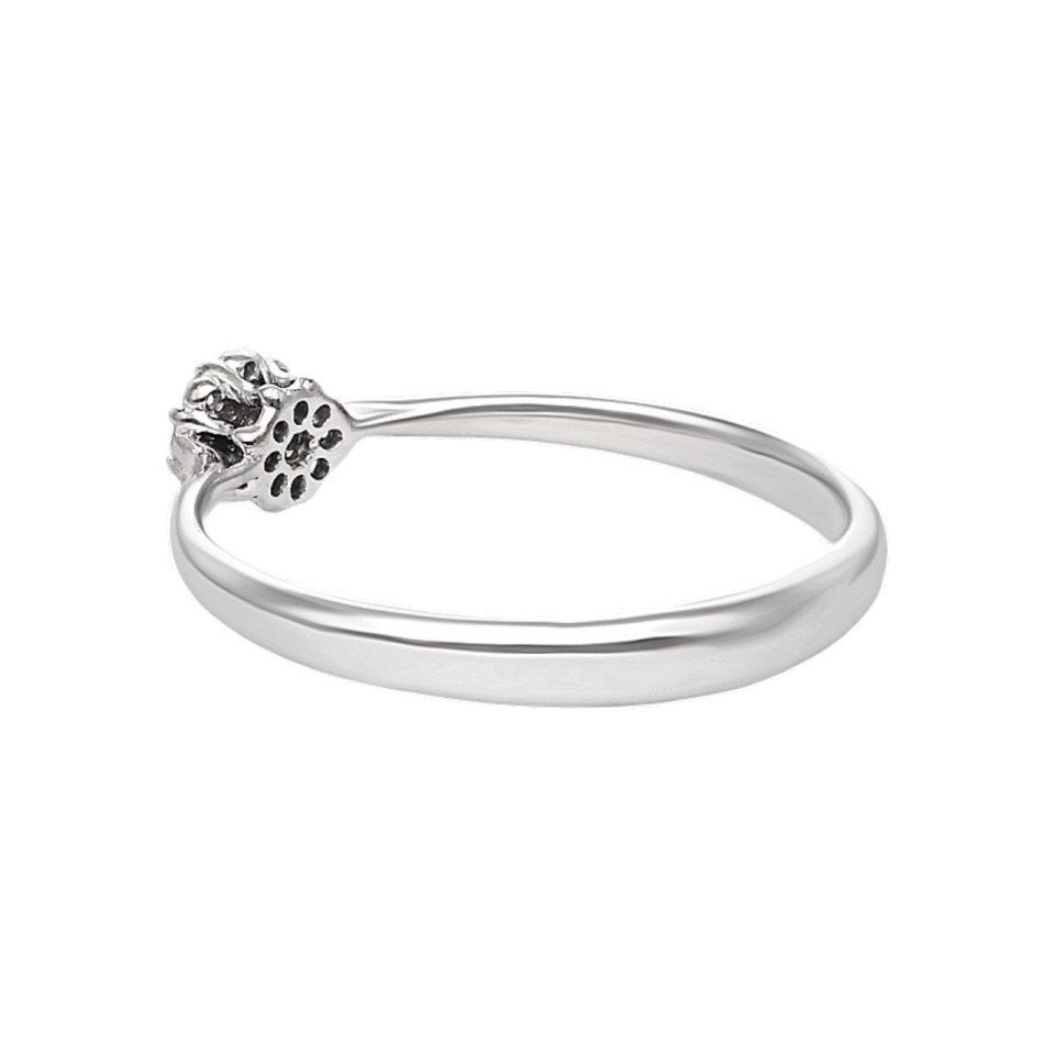 01BXAN0012992 - 2D image