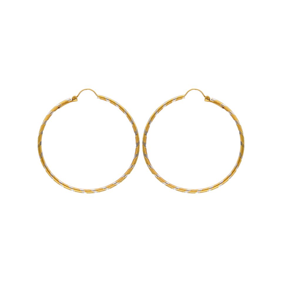 01BXCOR001040 - 2D image