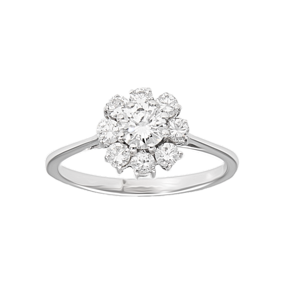 01T1AN0000257 - 2D image