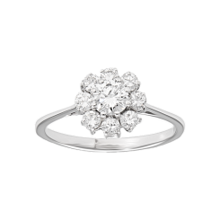 01T1AN0000257 - 2D image