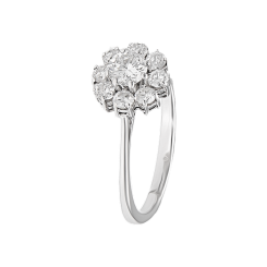 01T1AN0000257 - 2D image