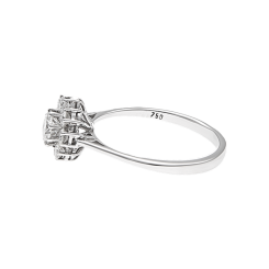 01T1AN0000257 - 2D image