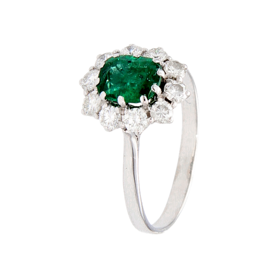 01T1AN0004980 - 2D image