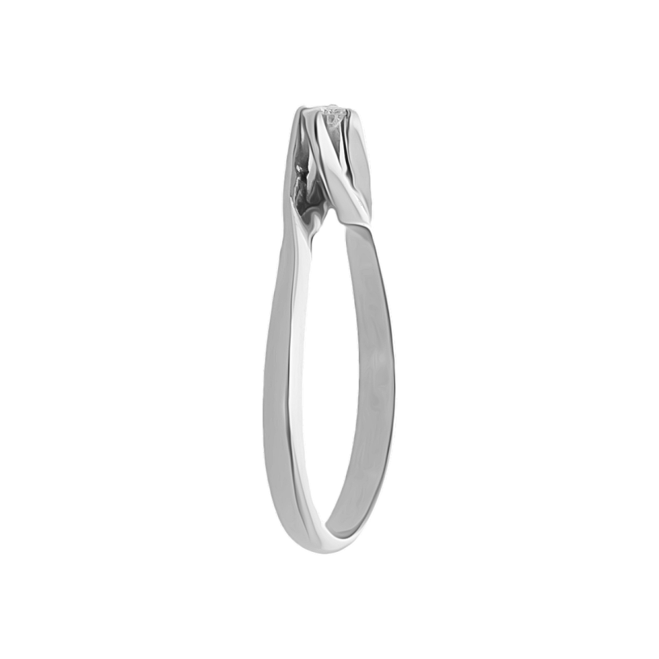 01T1AN0008596 - 2D image