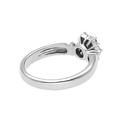 01T1AN0008894 - 2D image