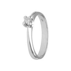 507 - 2D image