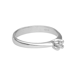 507 - 2D image