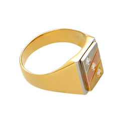 508 - 2D image